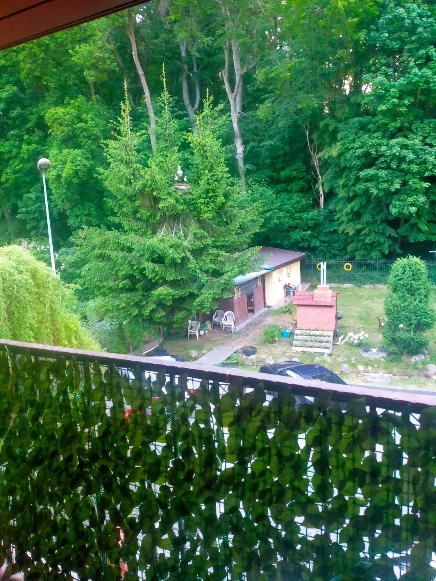 Hostel Madeira Gdańsk Eksteriør billede